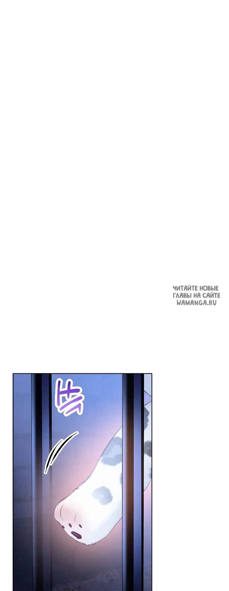 Page 50.000