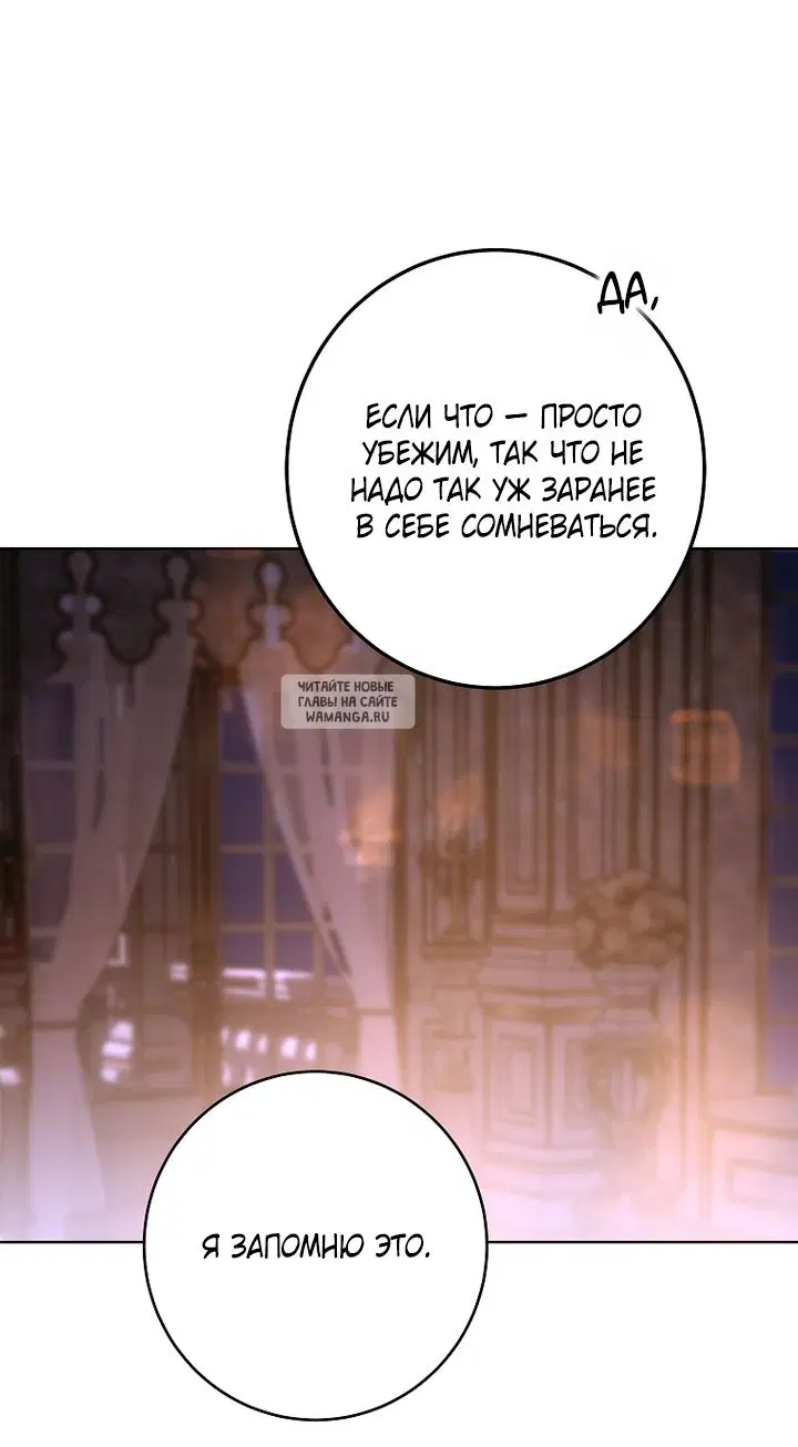 Page 41.000