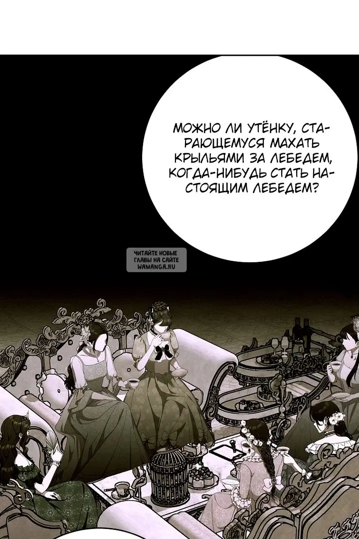 Page 41.000