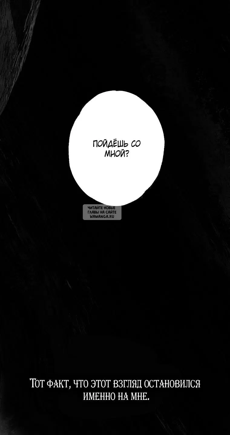 Page 51.000