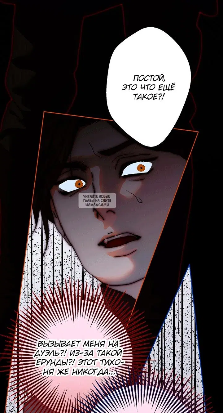 Page 81.000