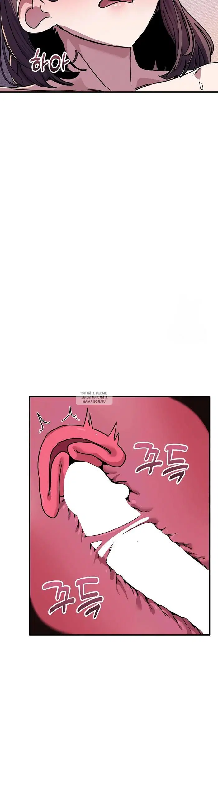 Page 44.000