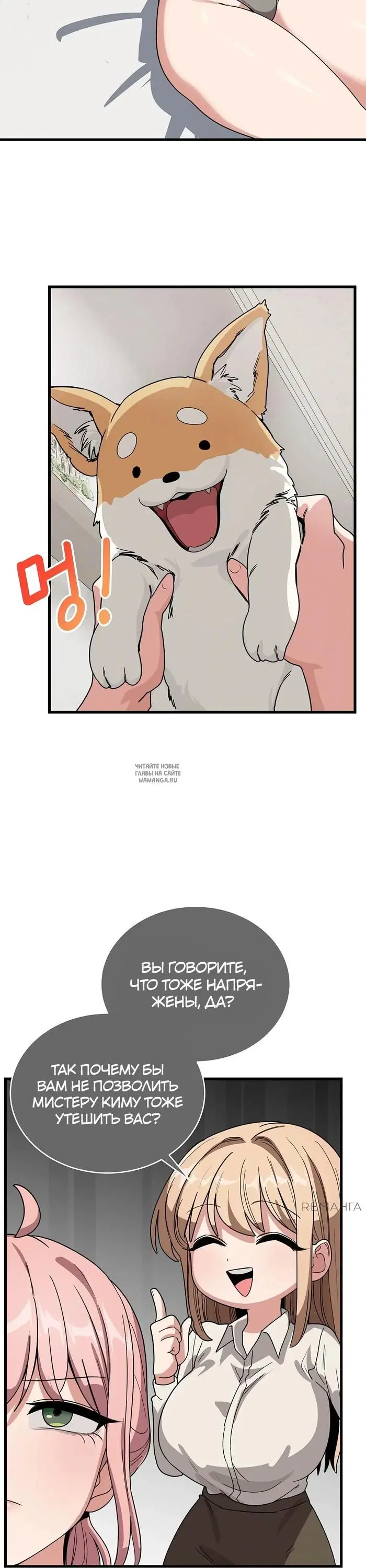 Page 43.000