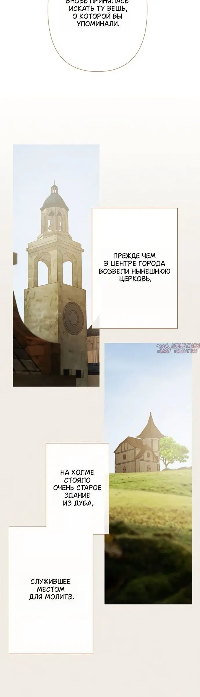 «Лимонный лес», глава 22, страница 6.001000000