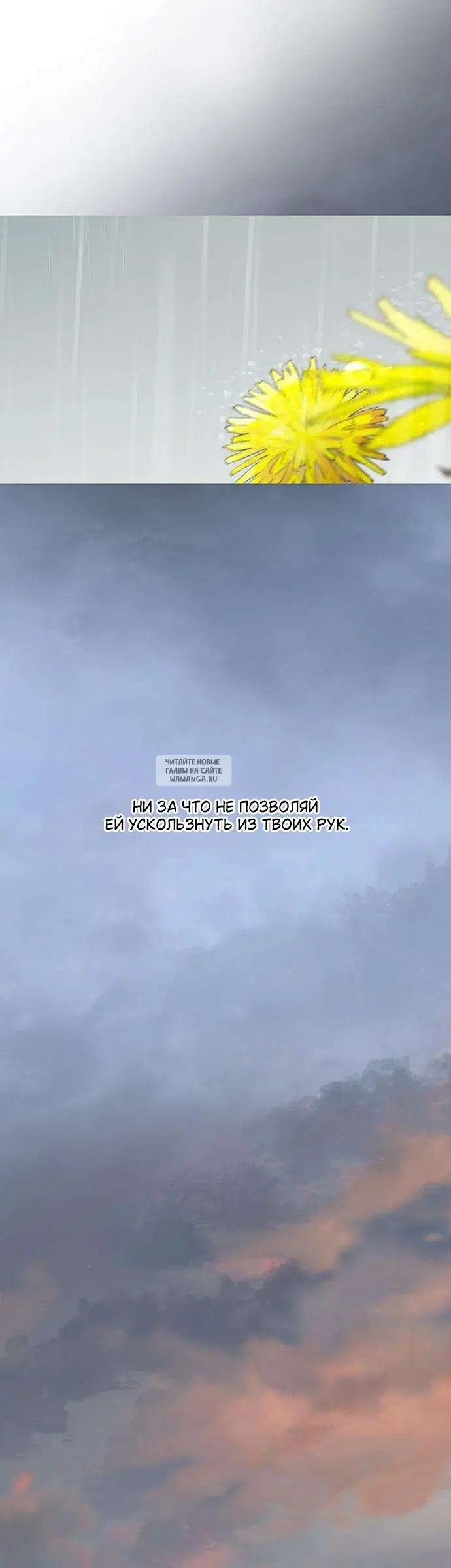 Page 61.000