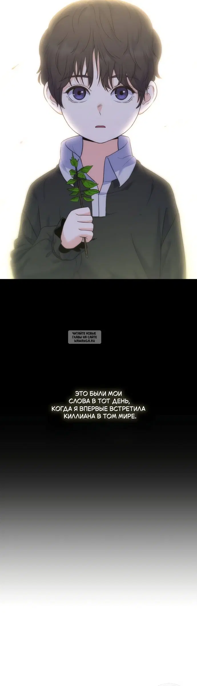 Page 61.000