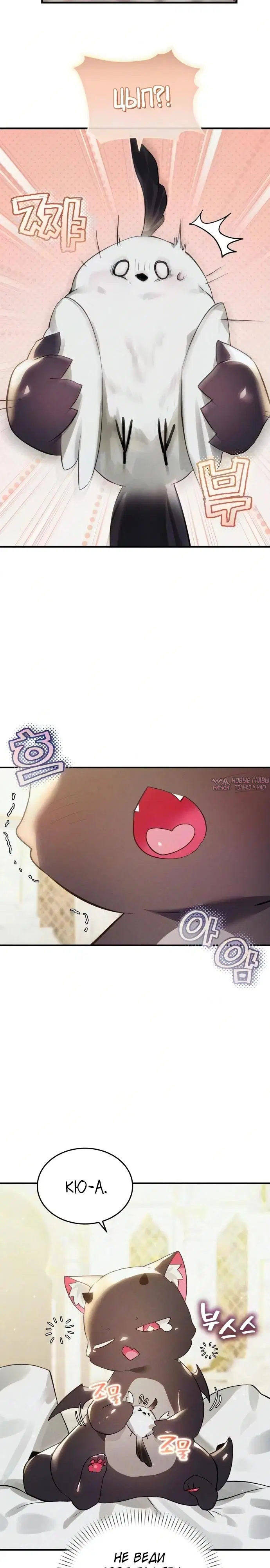 Page 17.000