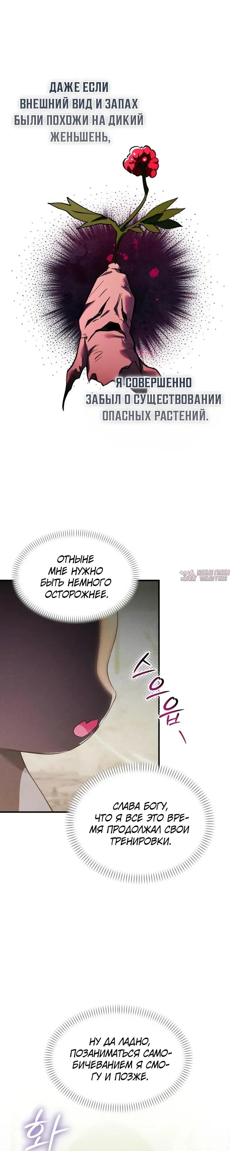 Page 31.000