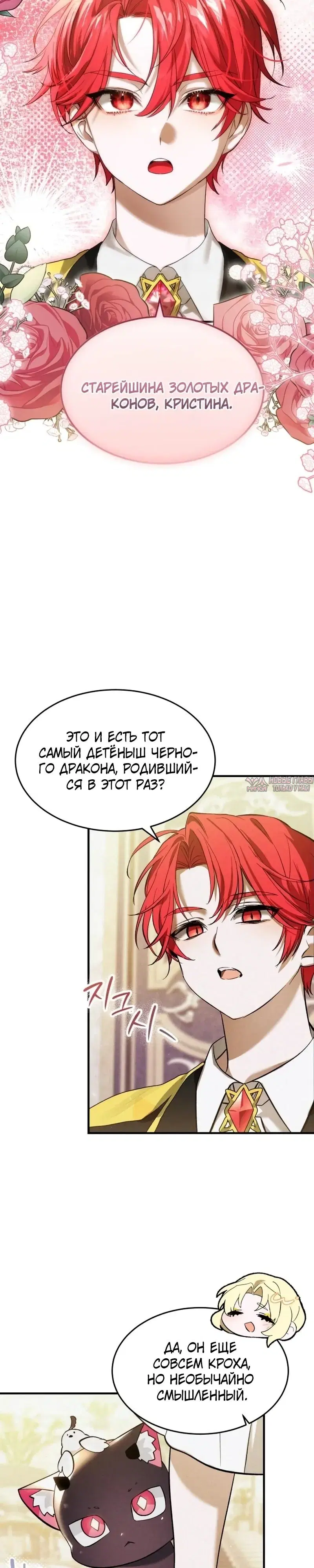Page 35.000