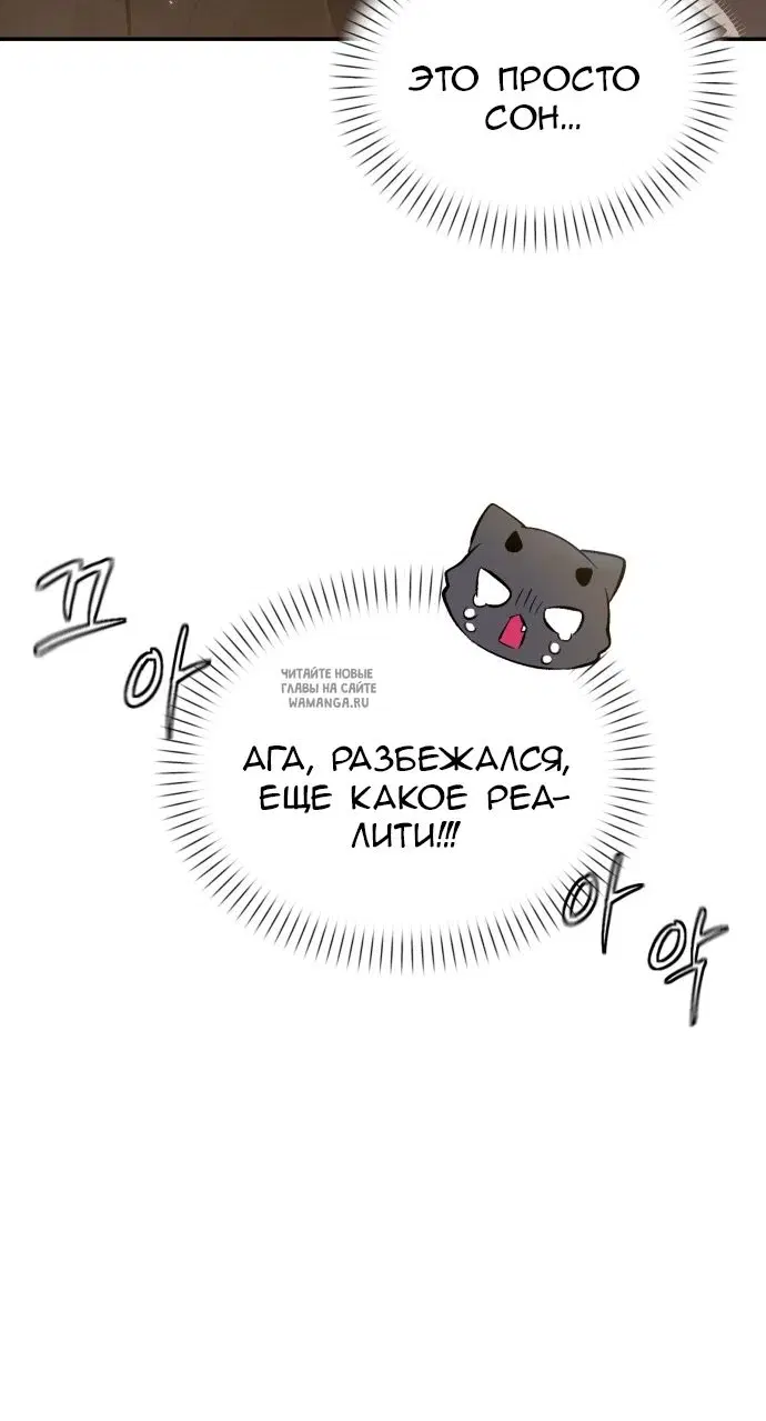 Page 53.000