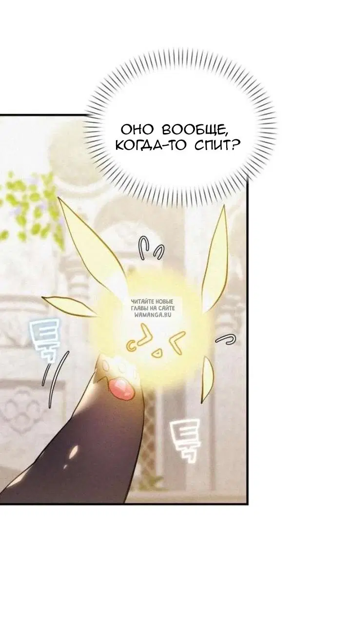 Page 62.000