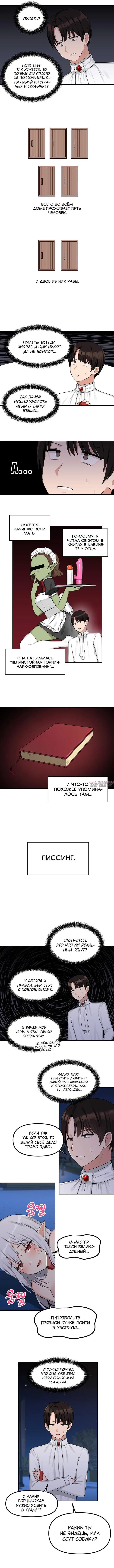 «Наказание моего домашнего эльфа», глава 3, страница 6.000000000