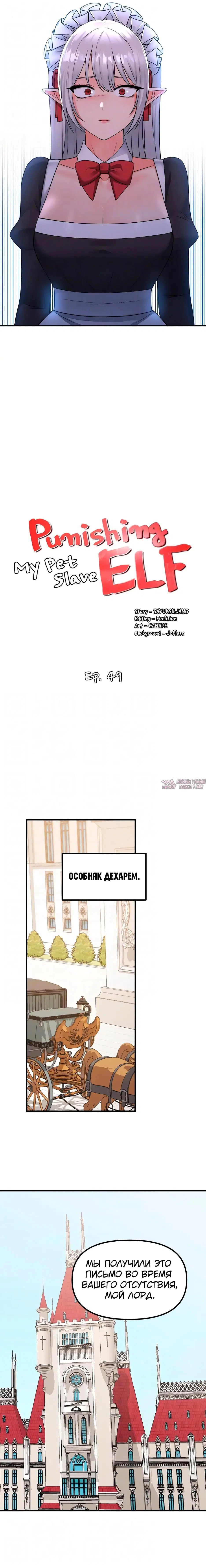 «Наказание моего домашнего эльфа», глава 49, страница 8.000000000