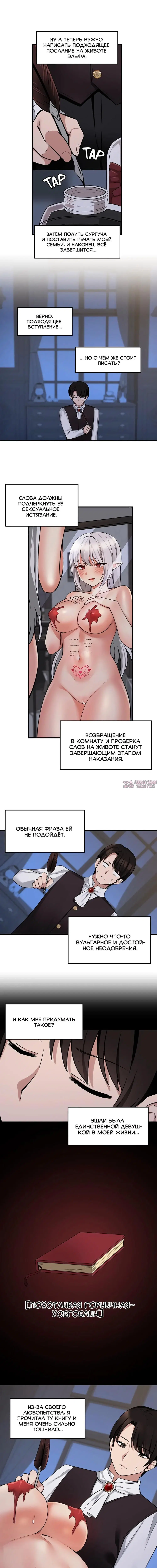 «Наказание моего домашнего эльфа», глава 10, страница 9.000000000