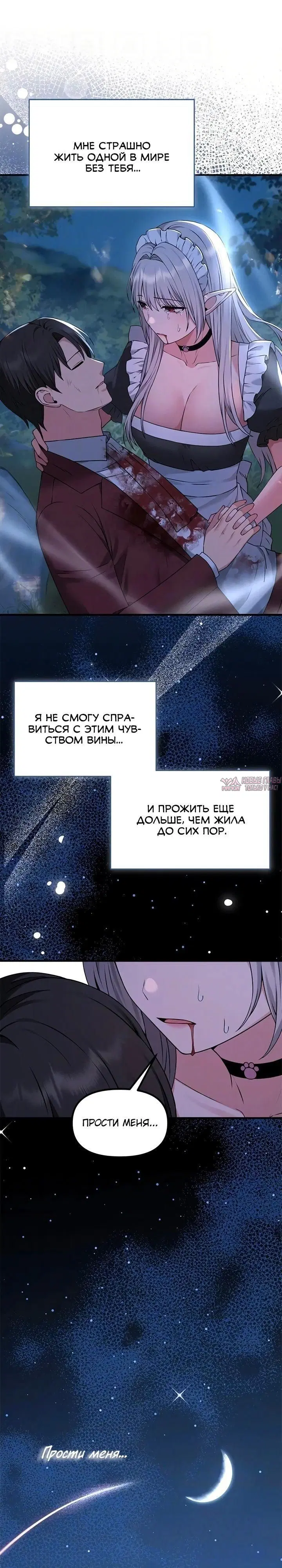 «Наказание моего домашнего эльфа», глава 88, страница 9.000000000
