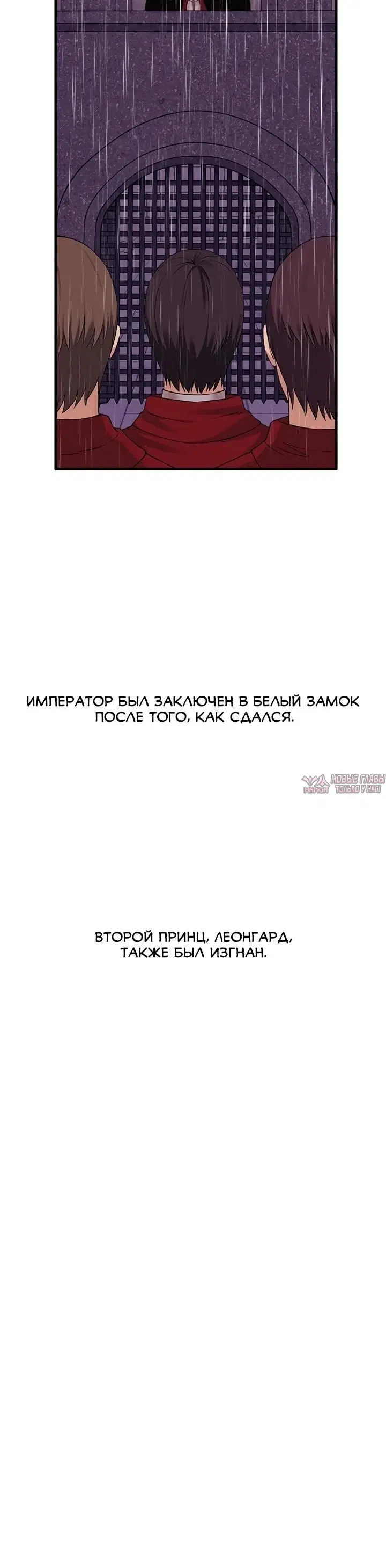 «Наказание моего домашнего эльфа», глава 92, страница 22.000000000