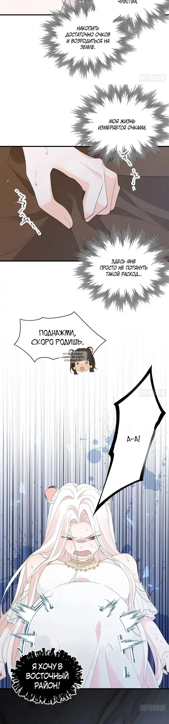 Page 11.000
