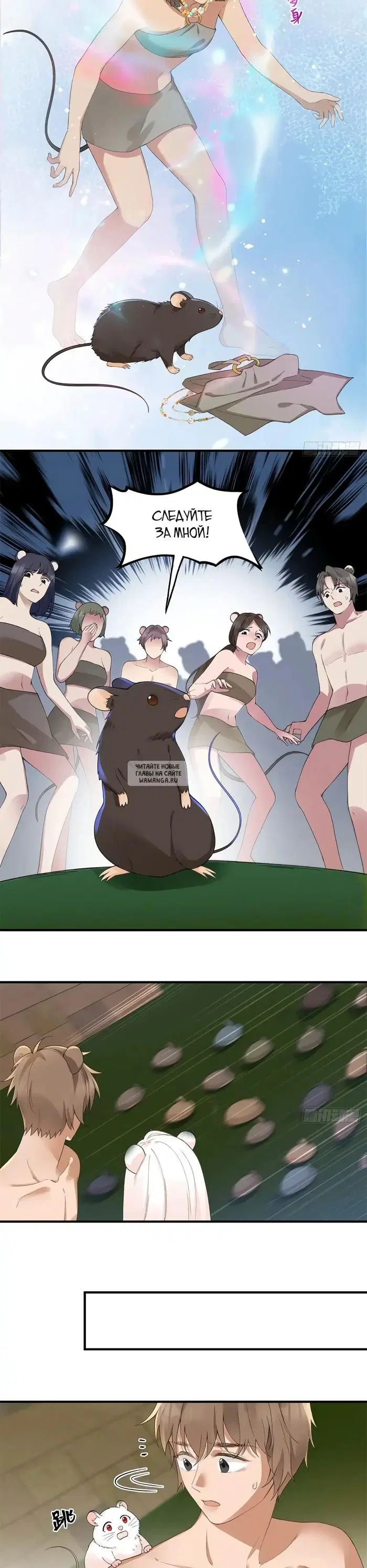 Page 3.000