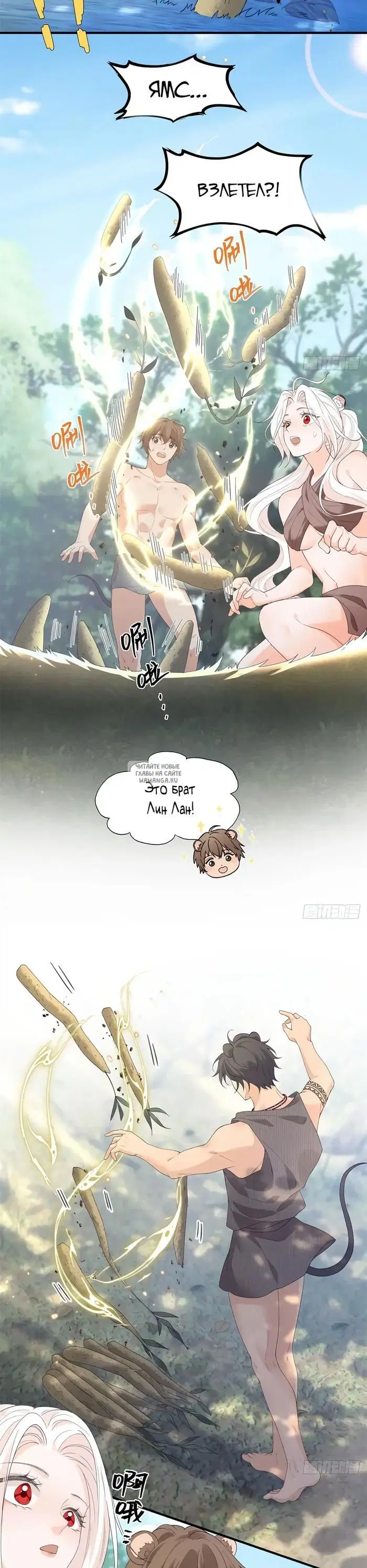 Page 3.000
