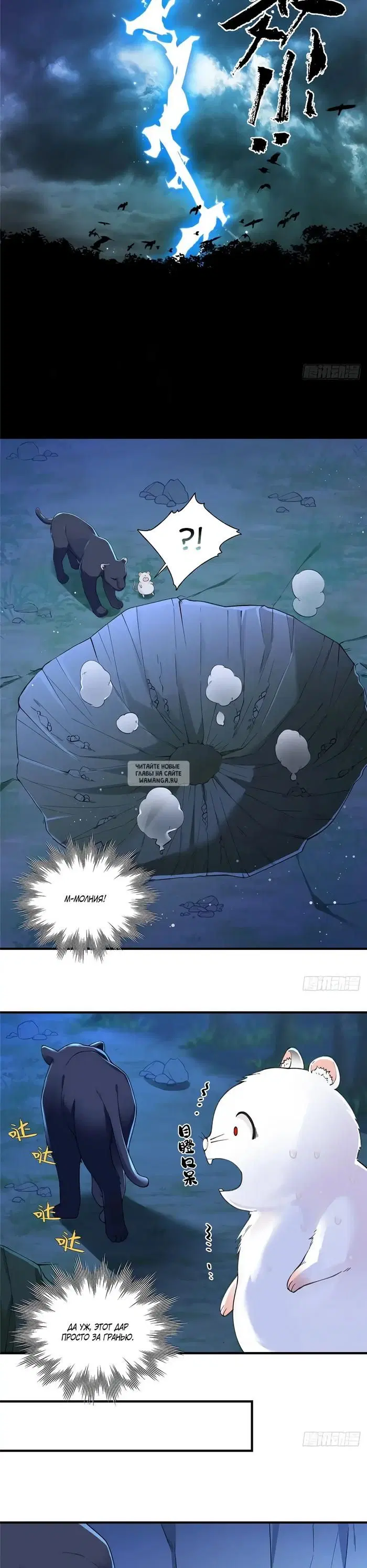 Page 5.000