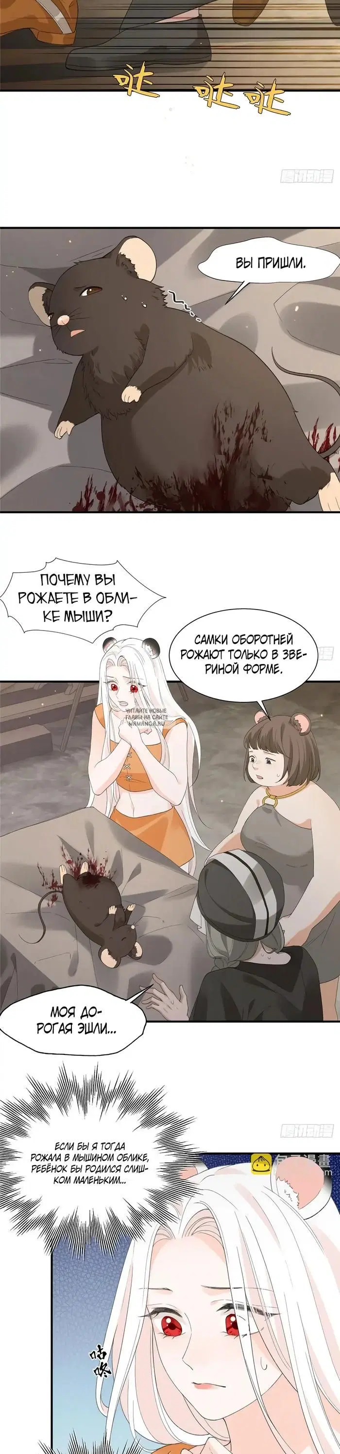 Page 5.000