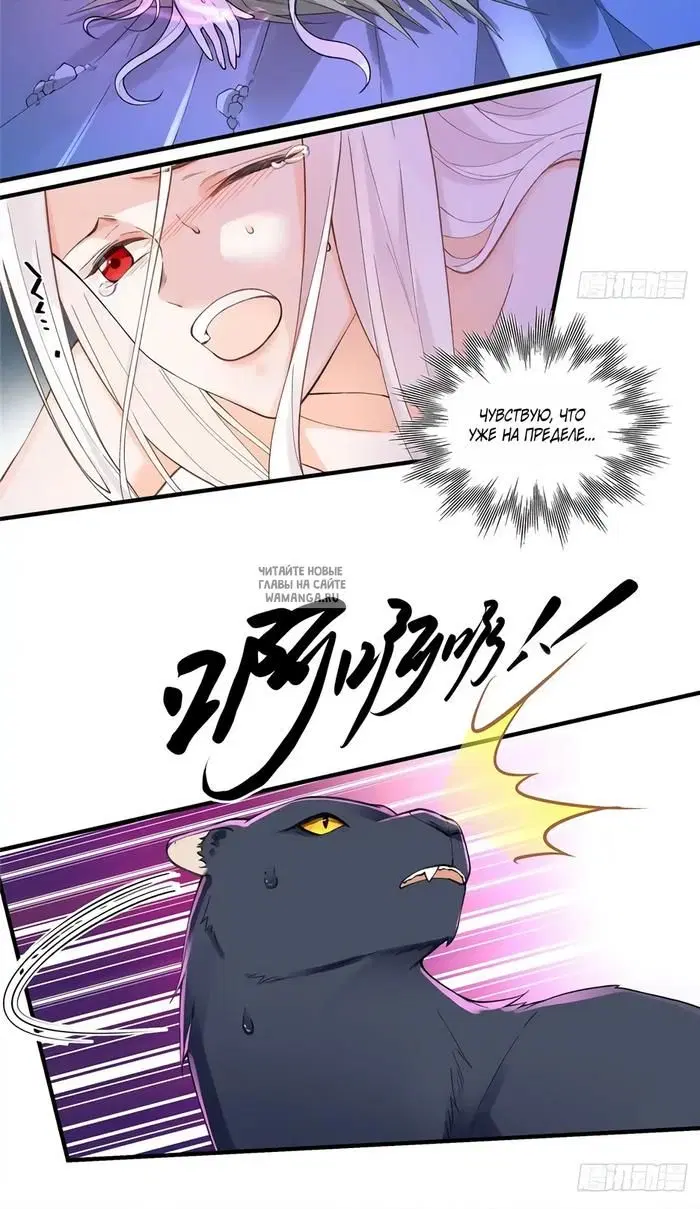 Page 7.000