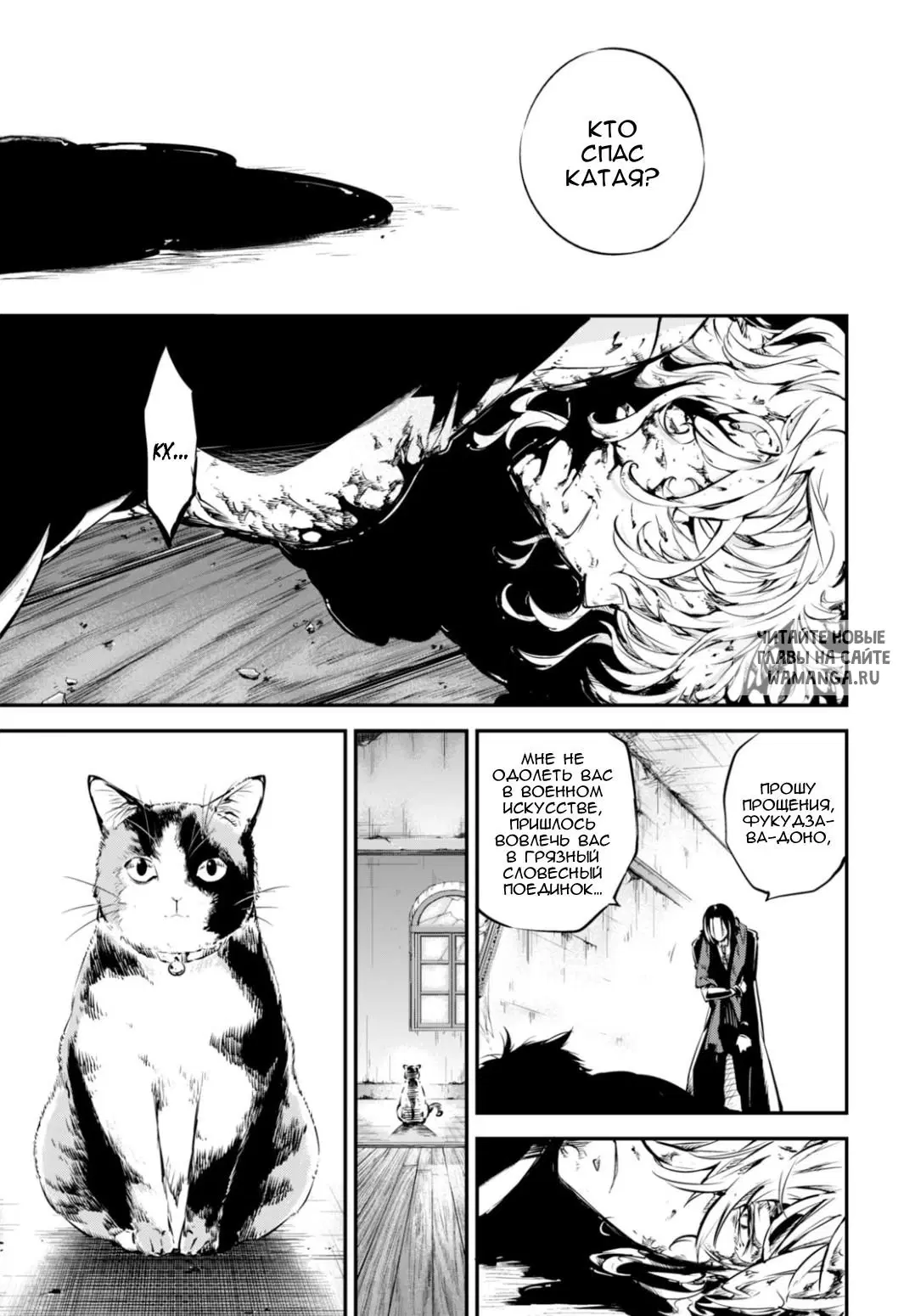 Page 43.000