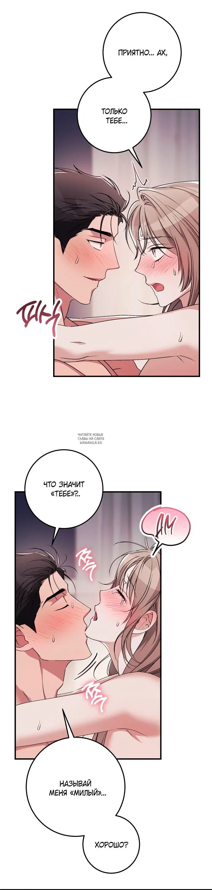 Page 41.000
