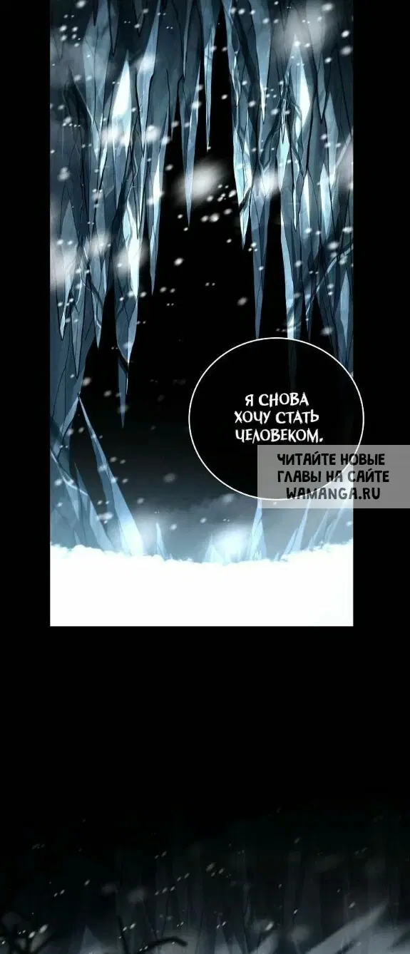 Page 36.000
