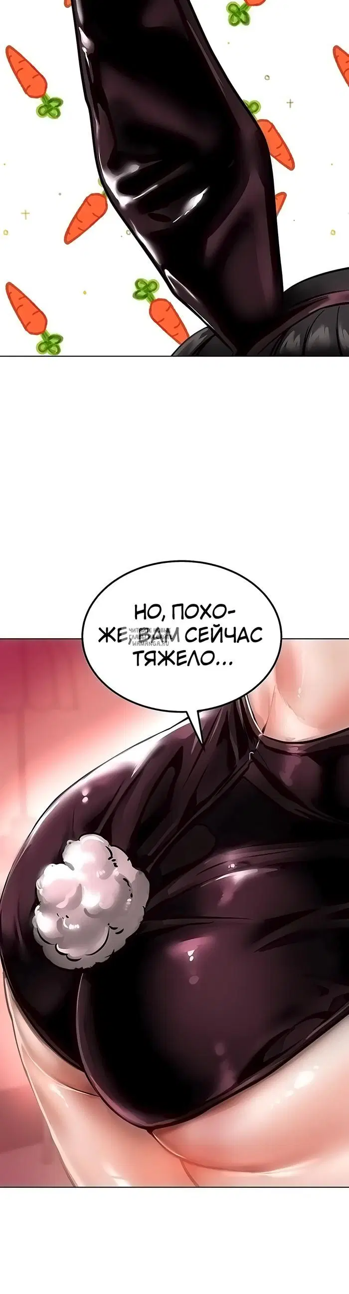 Page 41.000
