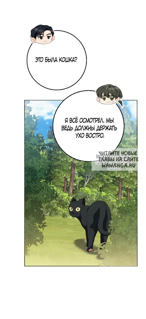 Page 39.000