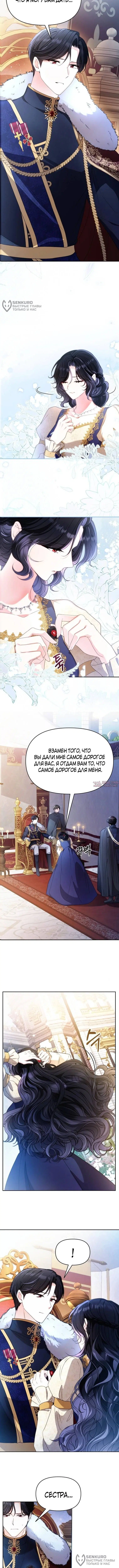 «Холод не сломит дикую розу», глава 1, страница 8.000000000