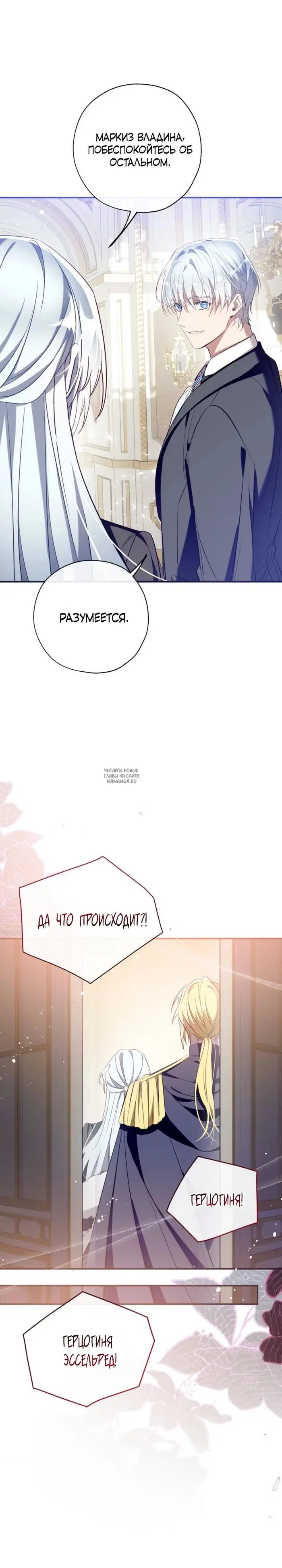 Page 29.000