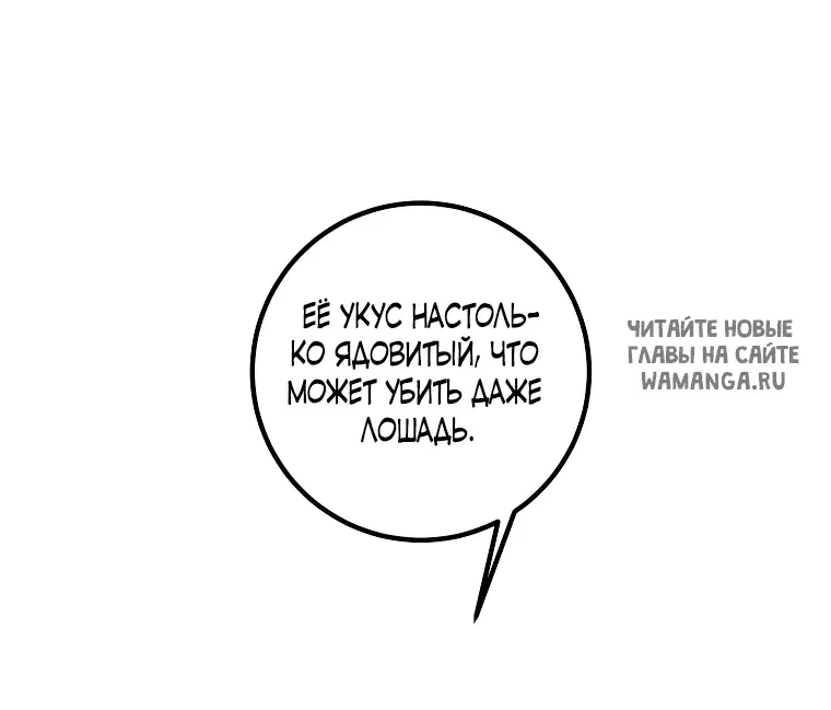 Page 51.000