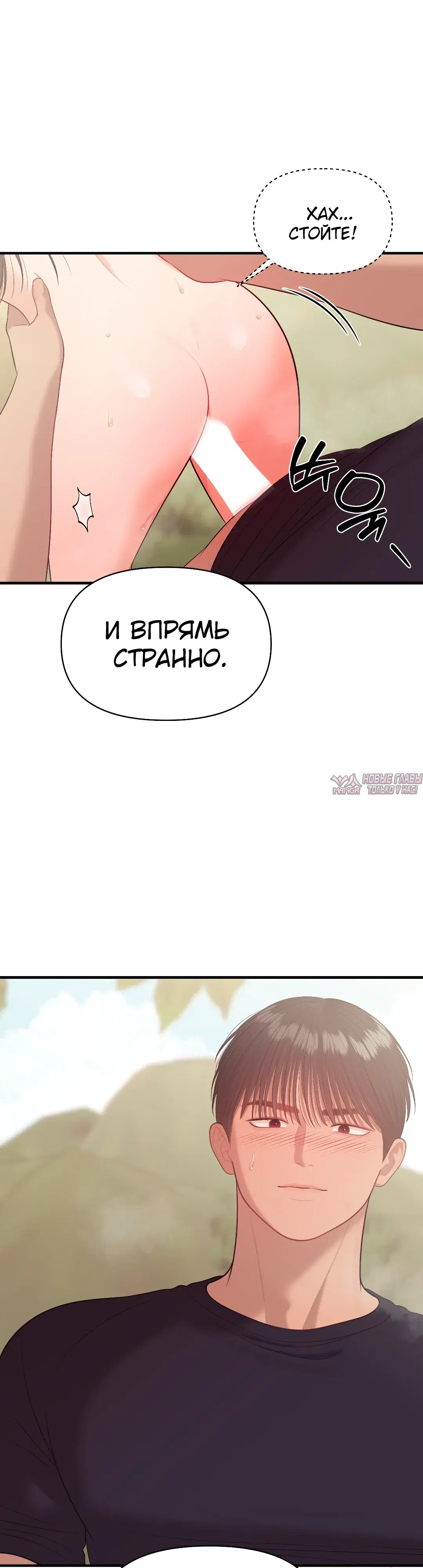 Page 36.000