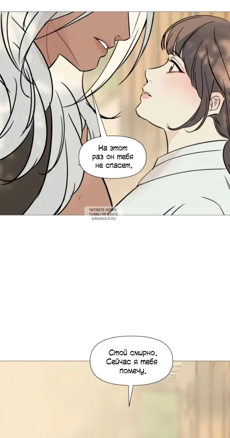 Page 25.000