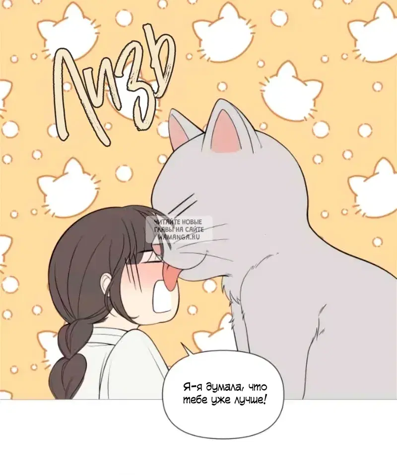 Page 26.000