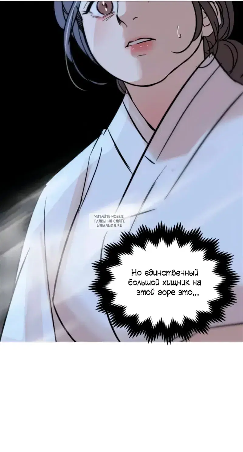 Page 31.000