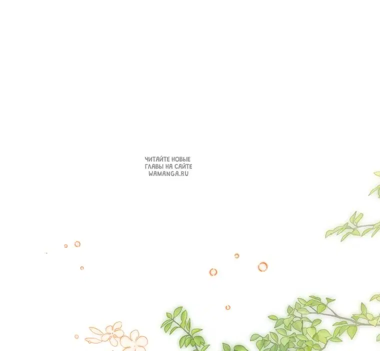 Page 26.000