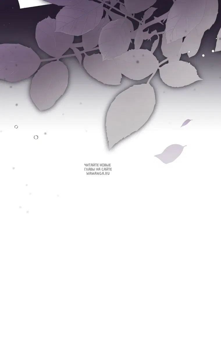 Page 56.000
