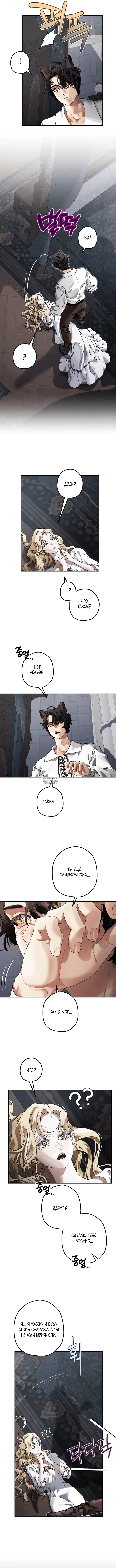 Page 6.000