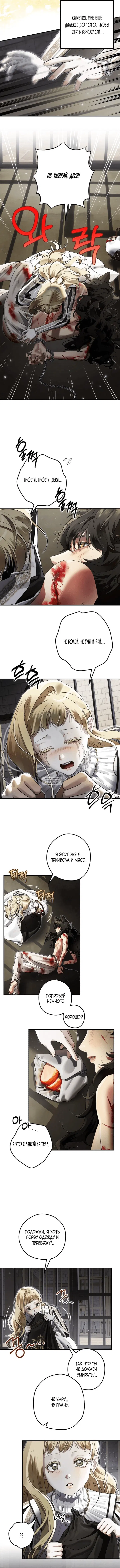 Page 8.000