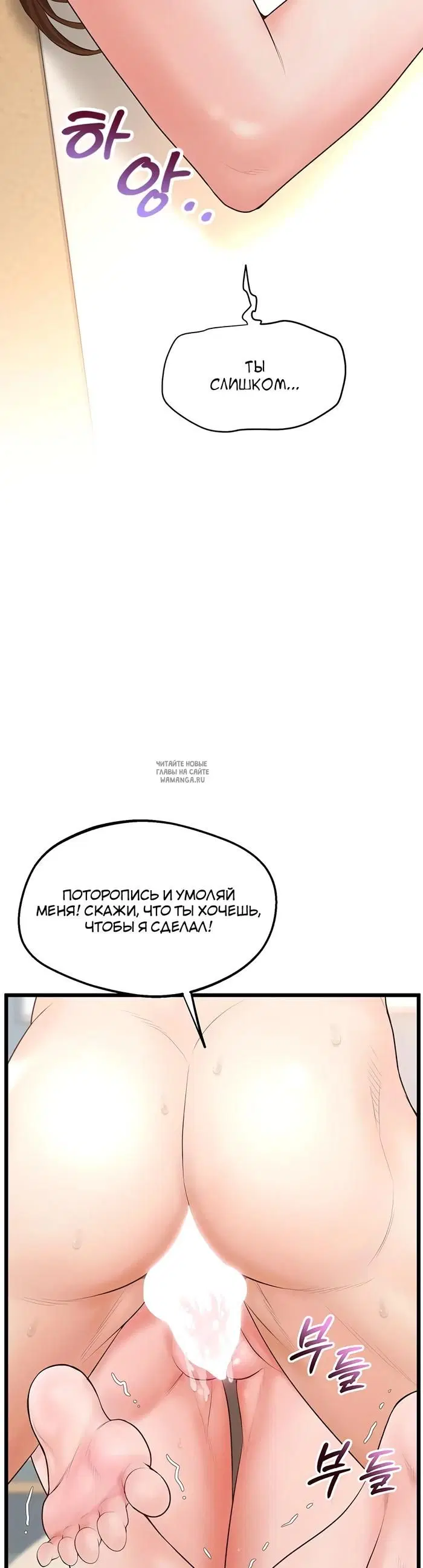 Page 55.000