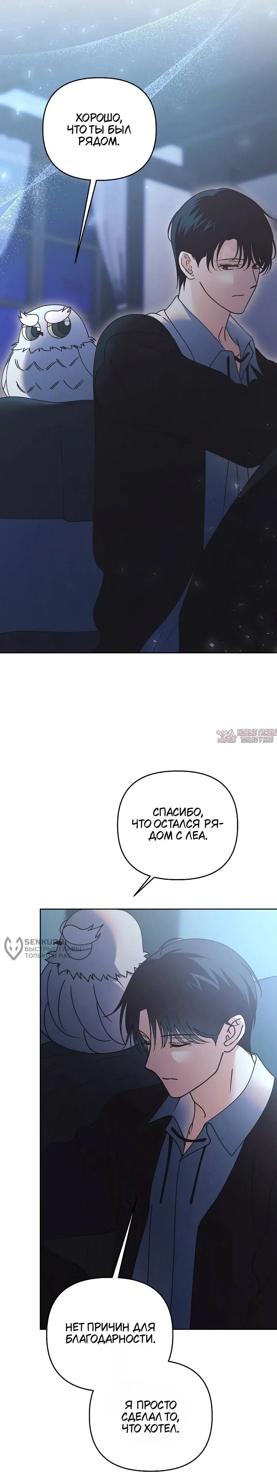 Page 21.000000000
