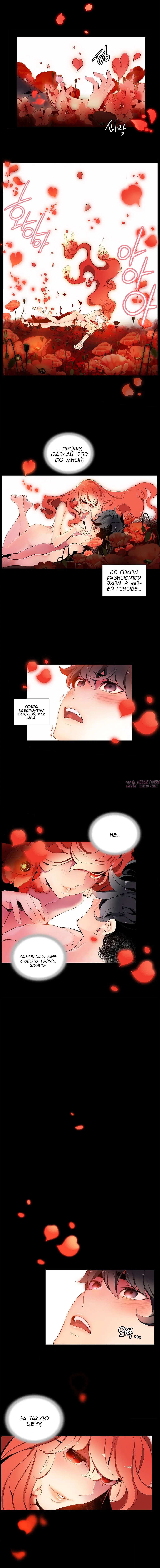Page 3.000000000