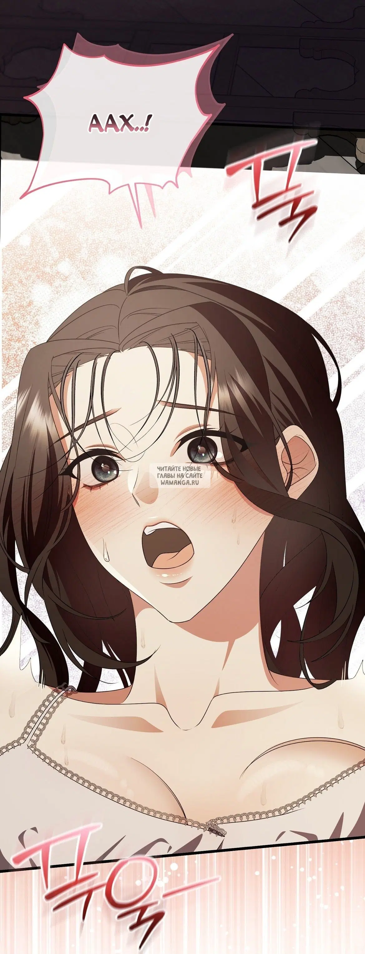 Page 113.000