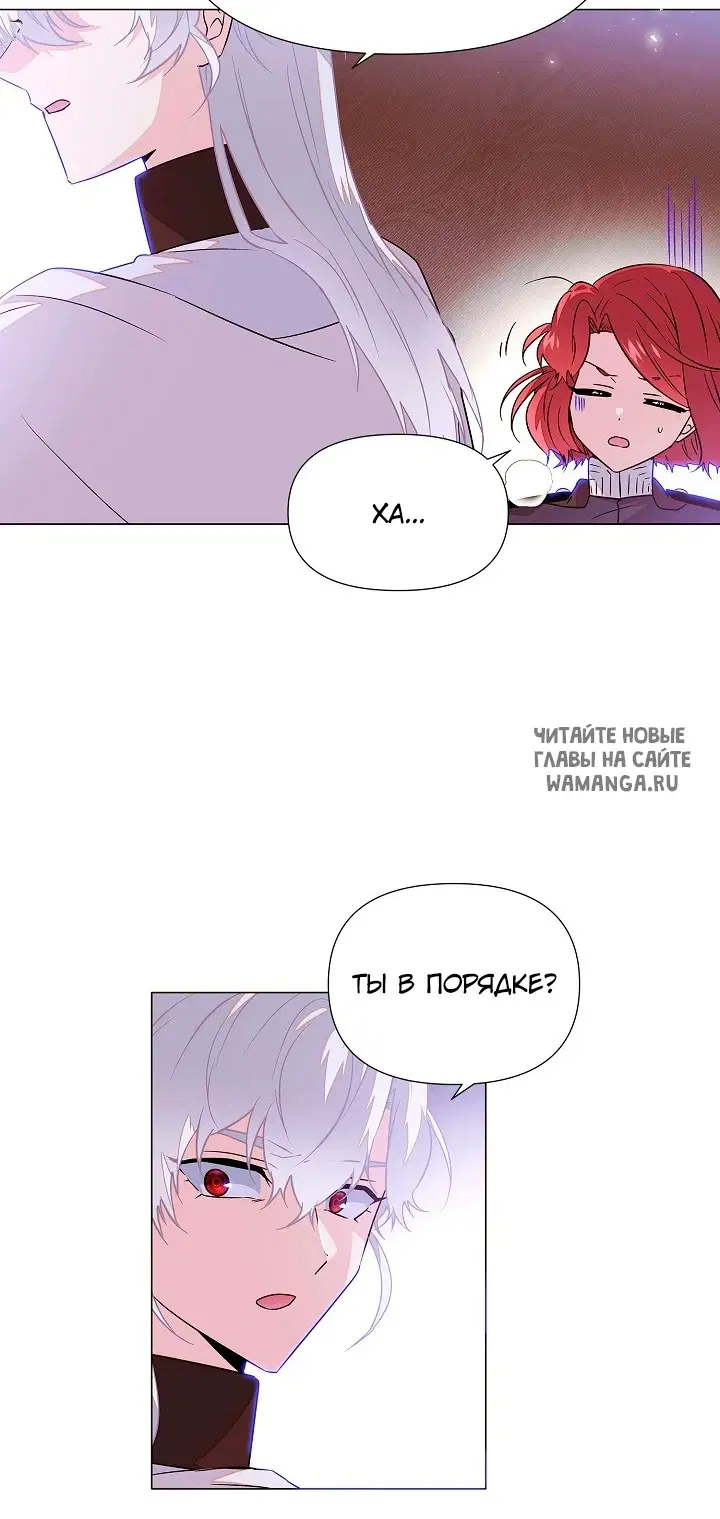 Page 25.000