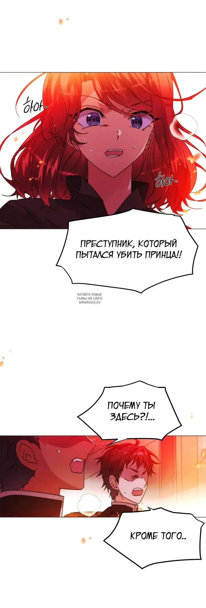 Page 20.000