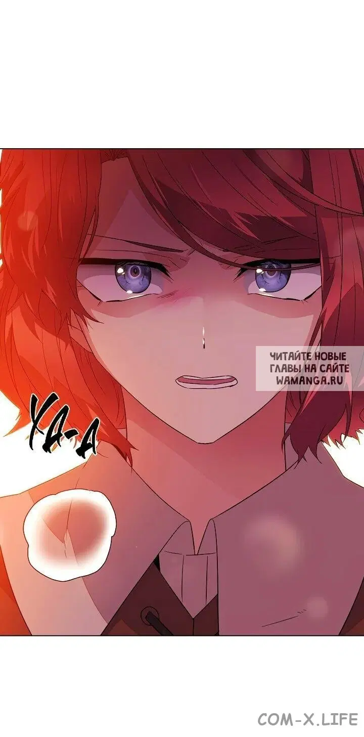 Page 36.000