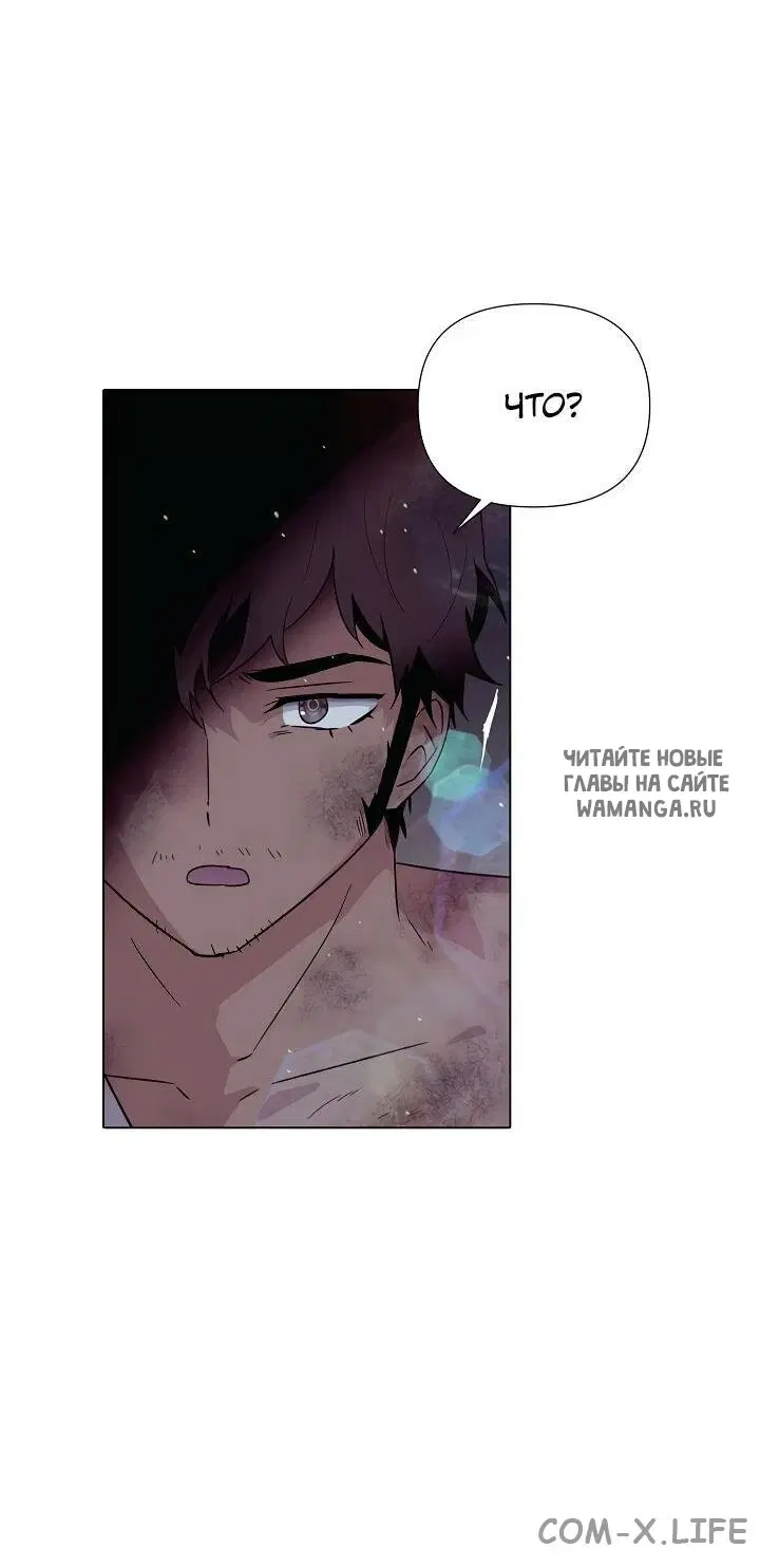 Page 31.000